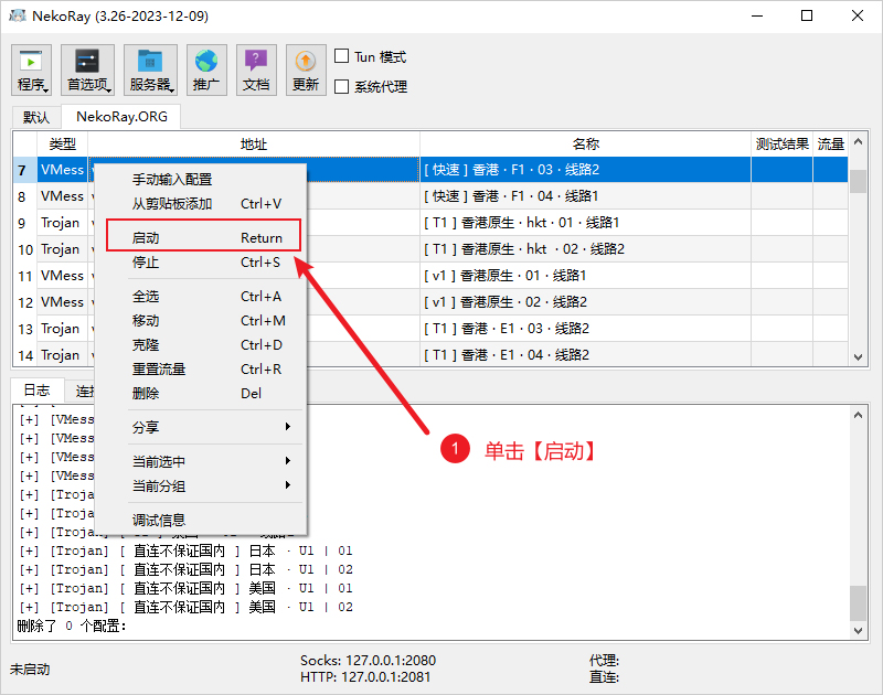 NekoRay 启动节点