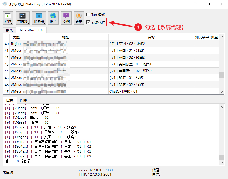 NekoRay 开启系统代理